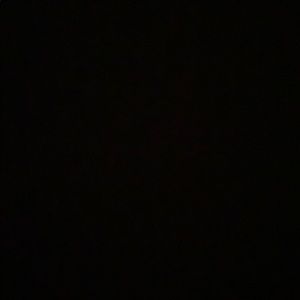 Meet your Posher, Leilani